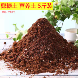 Ҭ�����I�B��������|�ЙC���S��ֱ�N���]5��ֲ�ﻨ�����ԠI�B��