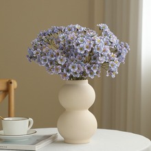 ��@�LСͩ��÷�����滨���ٻ��N���͏d�������S�����lֱ�N���滨