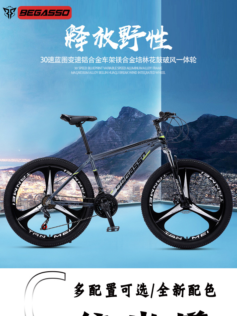 铝合金山地详情_01.jpg
