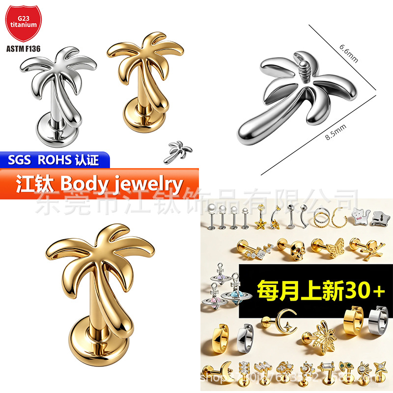 Pointed titanium steel lip stud product view
