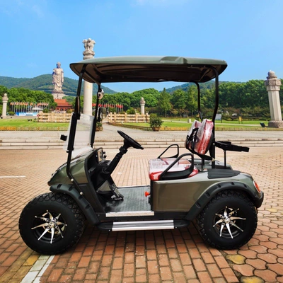 reception car scenic spot – Elektrikli qolf avtomobilləri