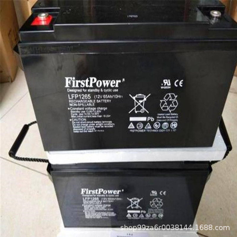 一电蓄电池LFP12120 12v120ah免维护直流屏UPS太阳能储能蓄电池