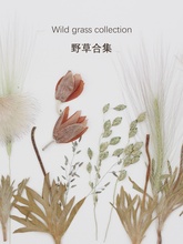 ҰݸɻɲֲѺݘ˱NՈb