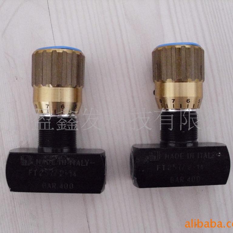 全新意大利阀门 多利拿TOGNELLA 单向阀FT257/6-200