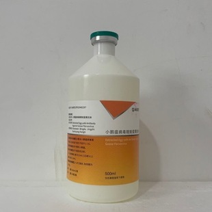 �����������wС�Z��(�G�w)