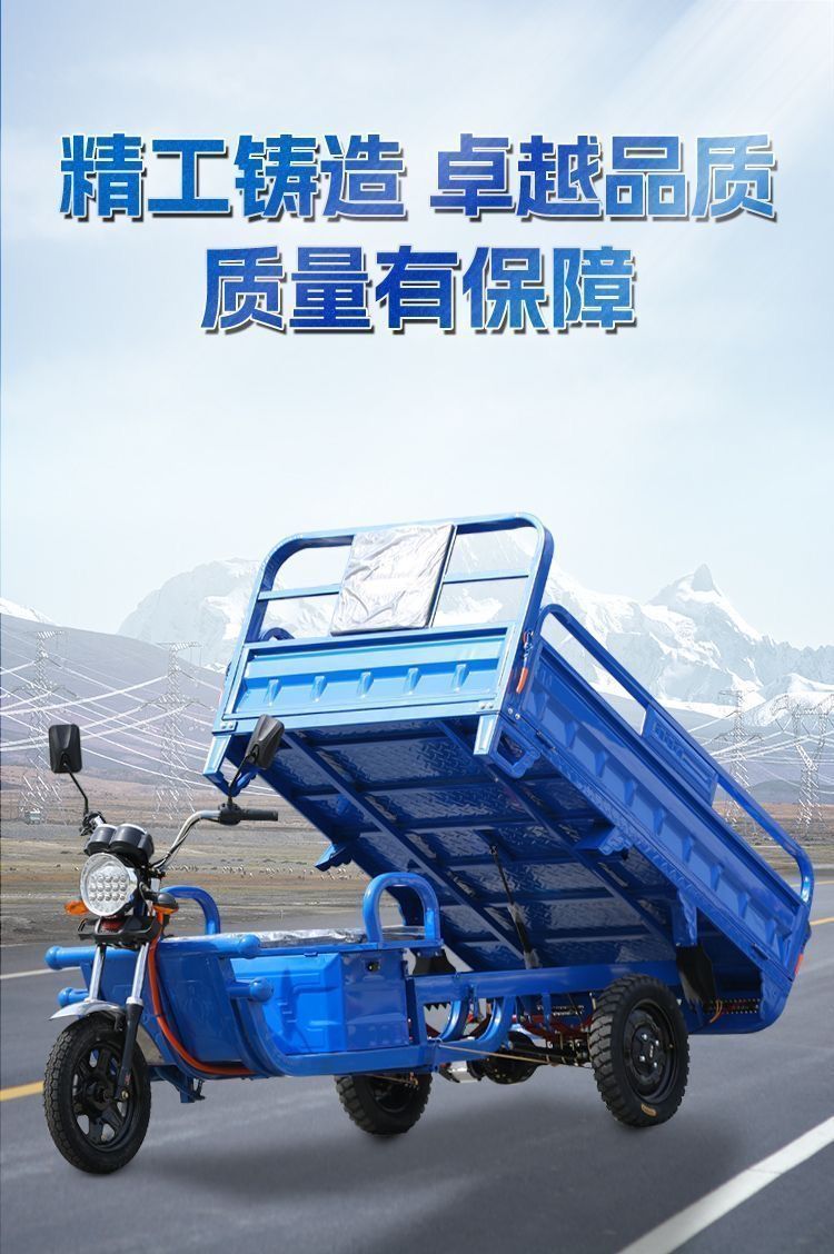 Electric Tricycle for Cargo, Delivery, Farm Use, Adult