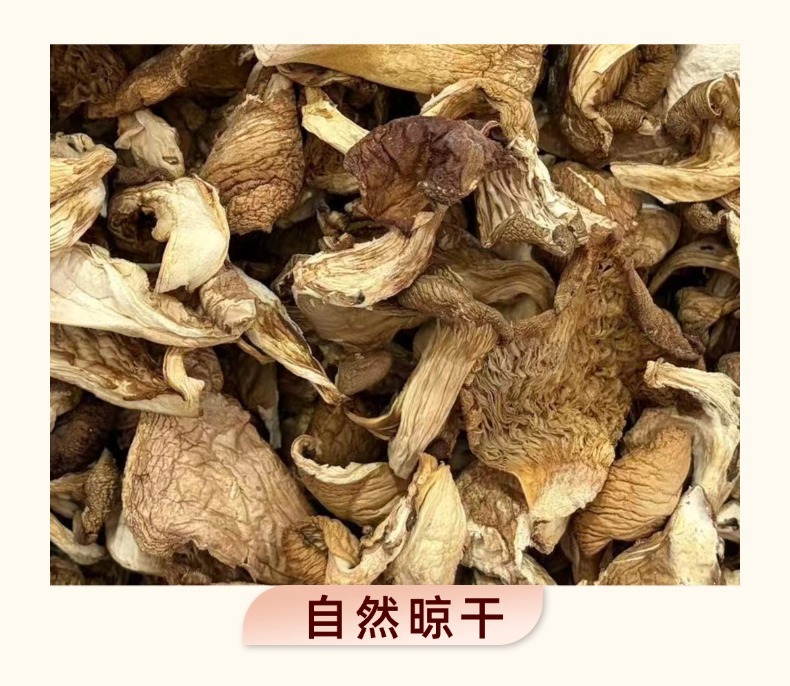 Dried Yuanmo Mushroom Whole Wild Forest Mushroom for Soup and Stew 500g in use