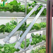 �羳���R�d�¿�ֲ������L�_���Y����ɫ���Nֲ������������a���