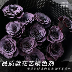 璀璨高品質噴漆花藝噴色劑鮮花噴漆碎冰藍烏梅子醬網紅鮮花染色劑