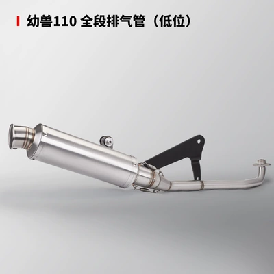 Motorcycle exhaust pipe young beast 110 modified exhaust pipe CC110 high/low exhaust full section 18-23 years (Exhaust pipe) - young-beast-110-low-exhaust-full-section
