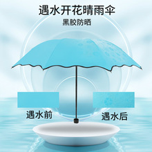 遇水开花伞变色折叠太阳伞黑胶防晒遮阳伞晴雨伞可加印logo广告伞