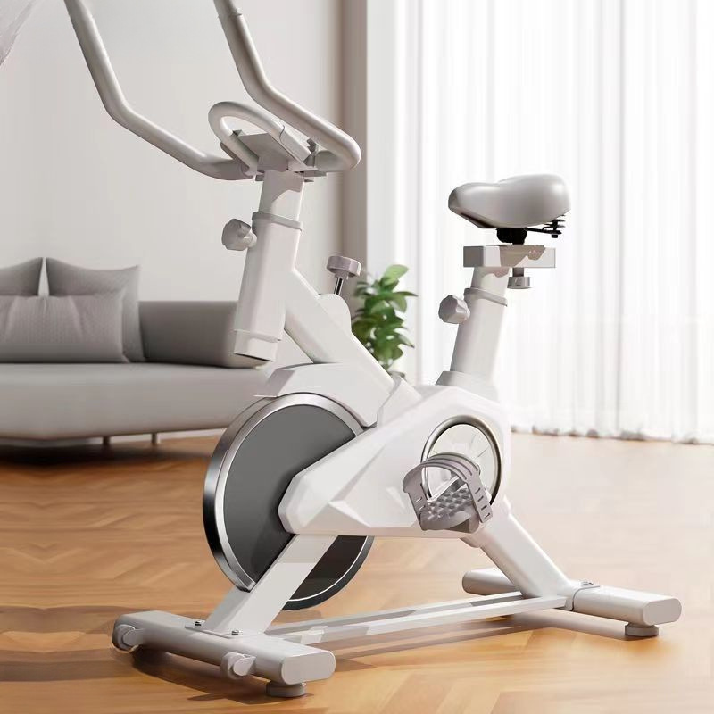 Dynamic Bicycle, Home Indoor Bicycle, Silent Gift Model, Men's and Women's Exercise Equipment, Sports Pedal Fitness Equipment