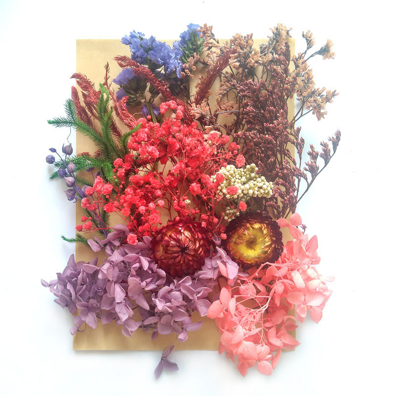 Flor seca flor eterna marco de fotos en relieve paquete de material combinación paquete de flores aromaterapia ventilador A5 bolsa de fábrica al por mayor transfronteriza