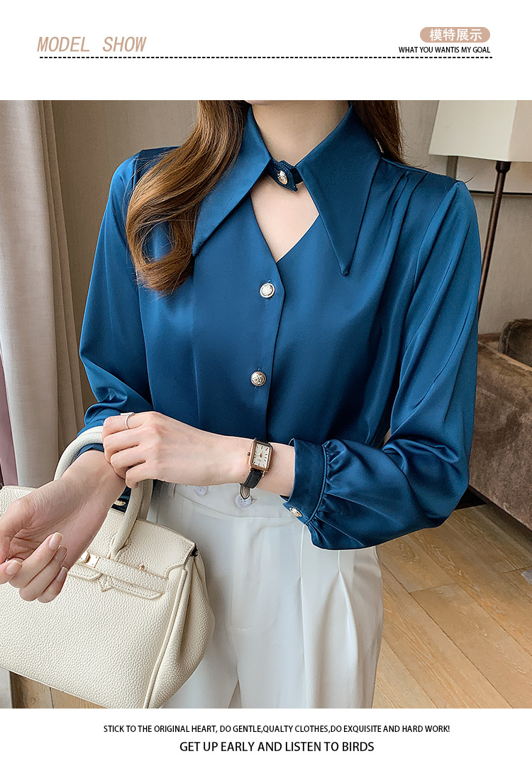 Elegant Blouse 3