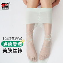 �t���������������w�mŮ�z�m��������z�Gɫ�@���[�θ�͸�Bѝ�m��