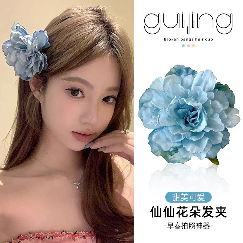 Ponytail, hairgrip, bangs, hair accessory, hairpins, flowered, Chinese style