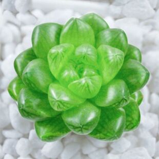 һ�����l����ˮ����¶���������҃���������ֲ����¶�������Ի���