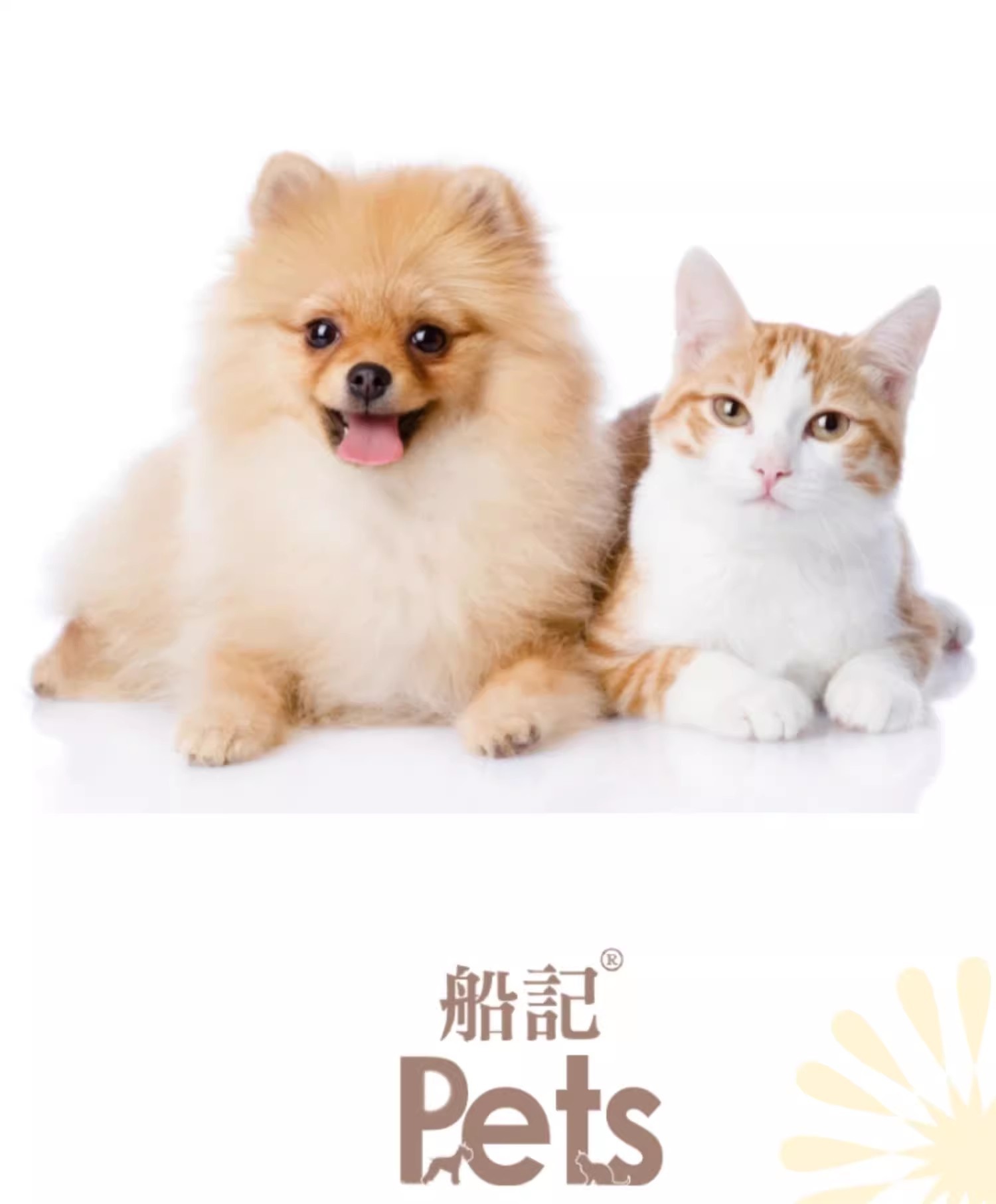 详情12.jpg