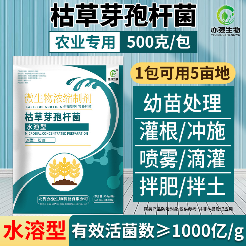 枯草芽孢杆菌作物枯萎青枯烂根姜瘟根腐根生根壮农用种植高效生根
