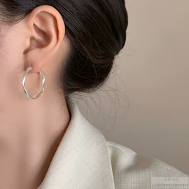 耳环;耳钉;发夹