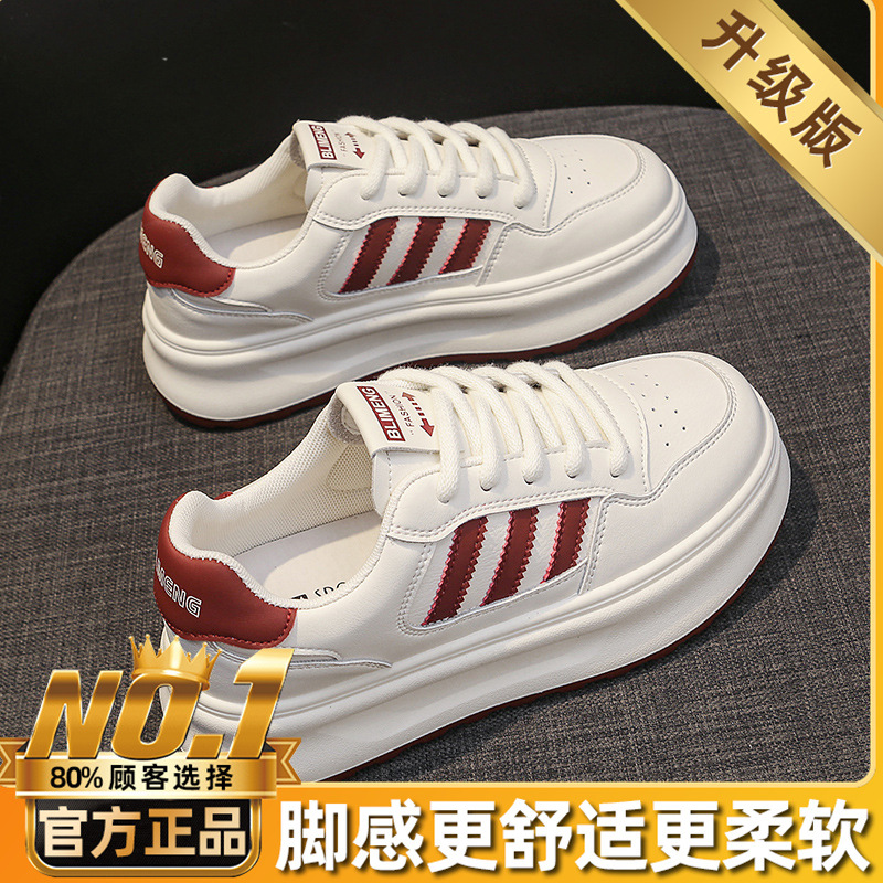 레드 업그레이드 모델