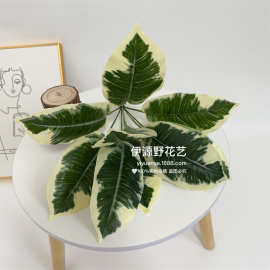 仿真橡皮树叶 橡树假树枝 盆栽绿植绿叶 花瓶插花植物墙绿植造景