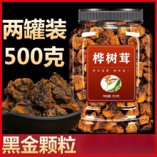 桦树茸俄罗斯旗舰店野生正品一斤黑金颗粒茶正品野生非长白山