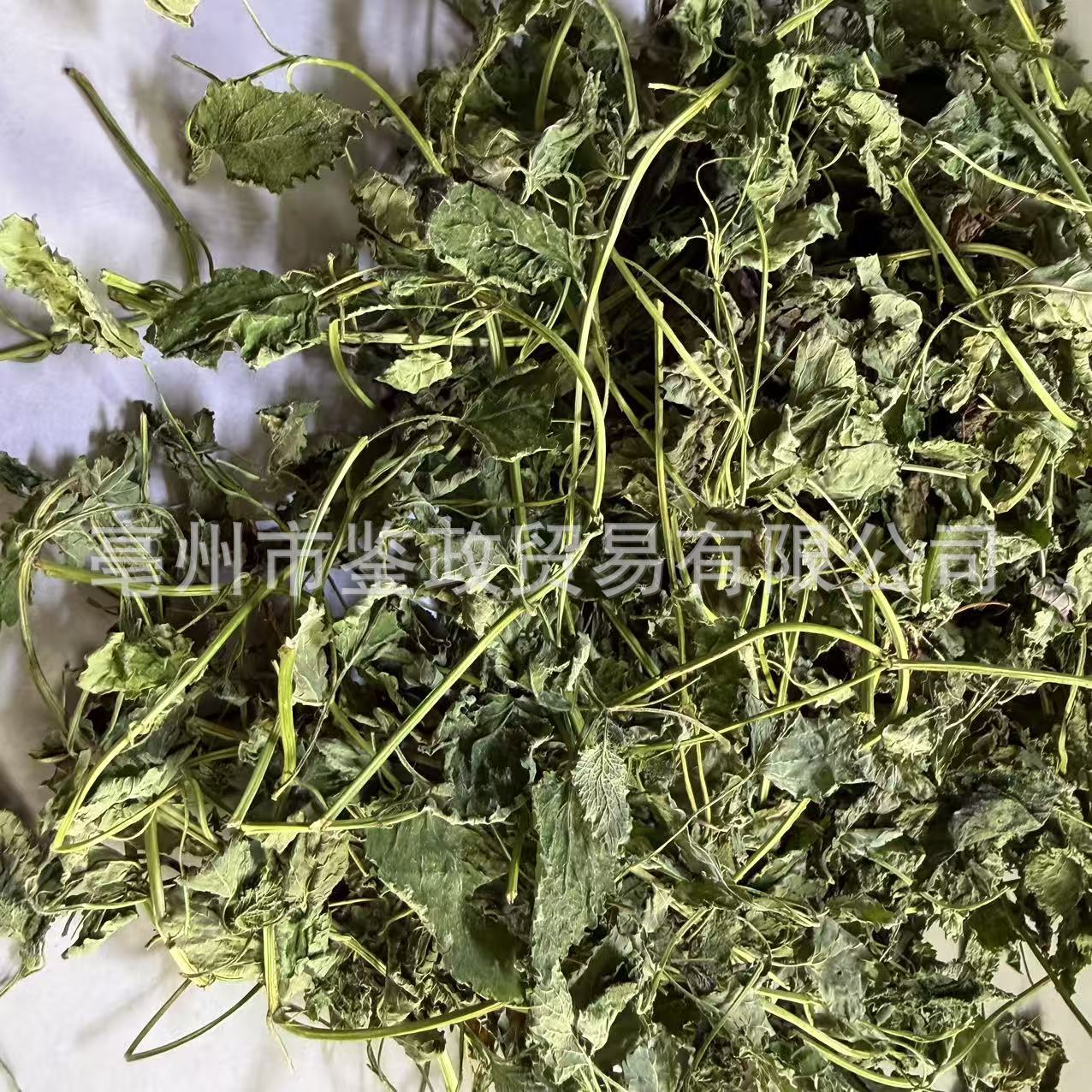 Lemon Balm Dried Herb 500g Bag Xiang Feng Cao Herbal Tea Ingredient specifications