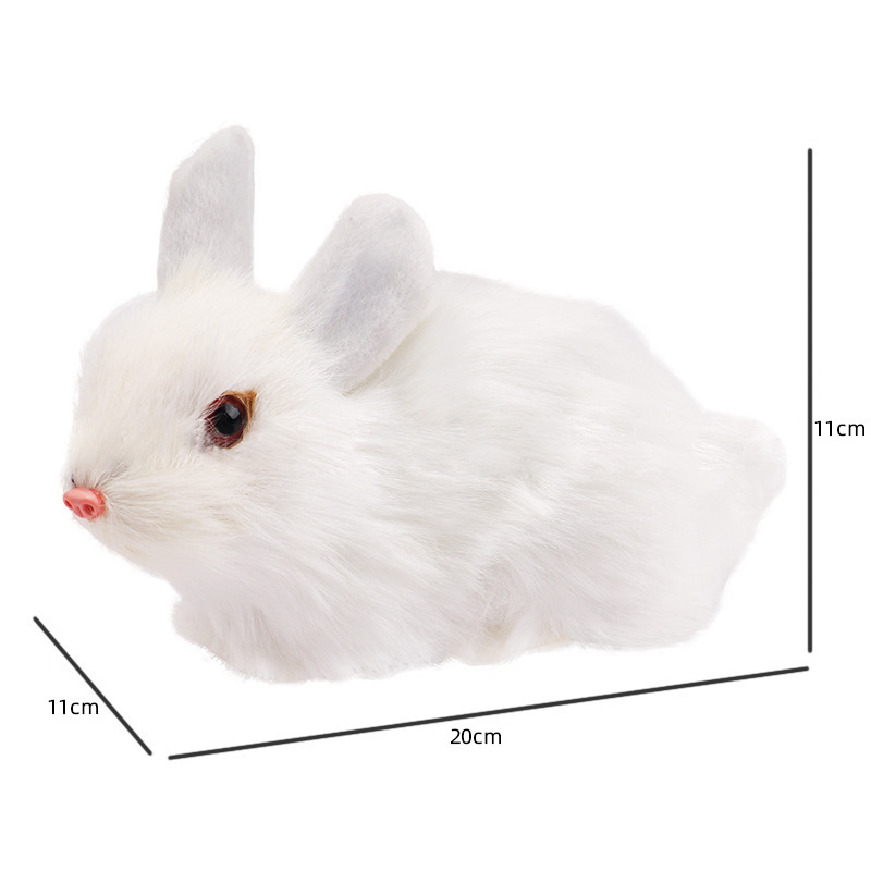 Simulation rabbit shape specimen biological teaching model Primary school science experiment equipment Student students with junior high school creatures