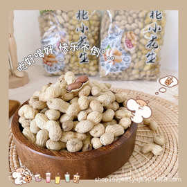 零食司令东北小花生辽宁锦州500g整箱20袋带壳熟花生核桃味咸味