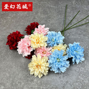 ��Ʒ��c���滨��Y���b����^ܽ�ػ��Ҿ��b� ĵ��������