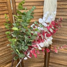 �ָд��~�ȼ������X�~�廨����Gֲ�҃��bٻ�ɭϵ��c�Ҿ��b�