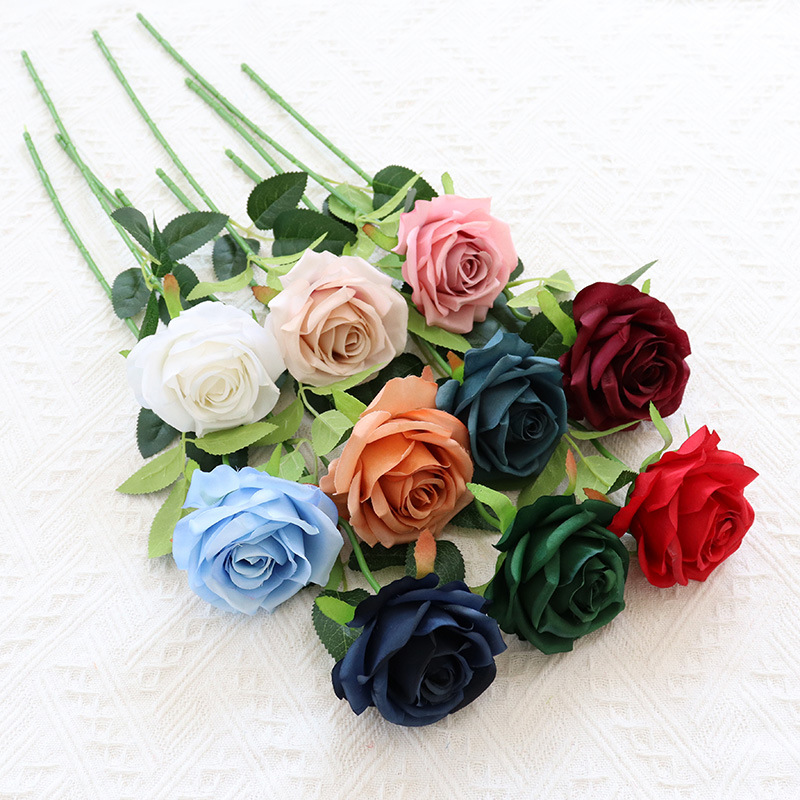 单支卡罗拉玫瑰 (34).JPG