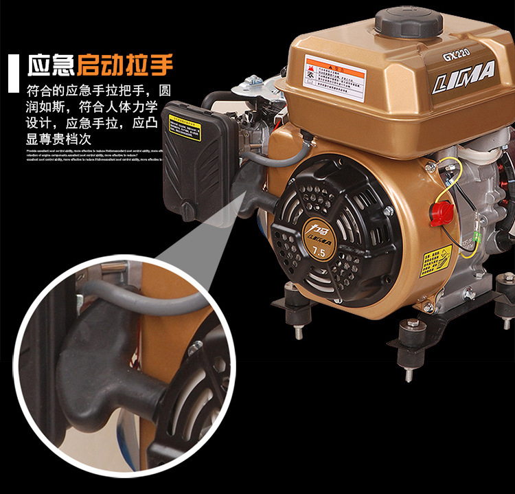 White Sparrow Brand 48V 6072V Electric Two-Wheeler, Two- and Three-Wheeled Vehicle, Four-Wheel Sedan, Inverter Range Extender, Gasoline Generator