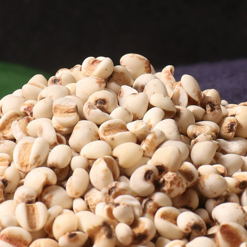 Coix Seed Yi Yi Ren 500g Dried Job's Tears for Tea Soup and Soaking key features