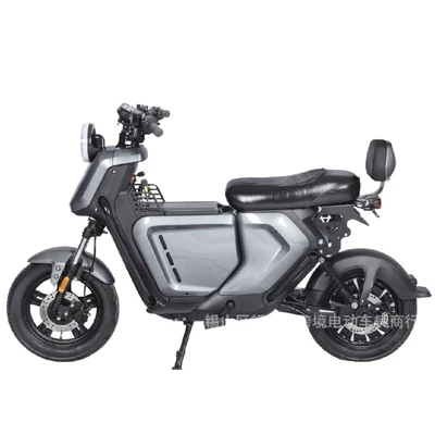 Vehicle Export Model, Elektrikli motosikletlər