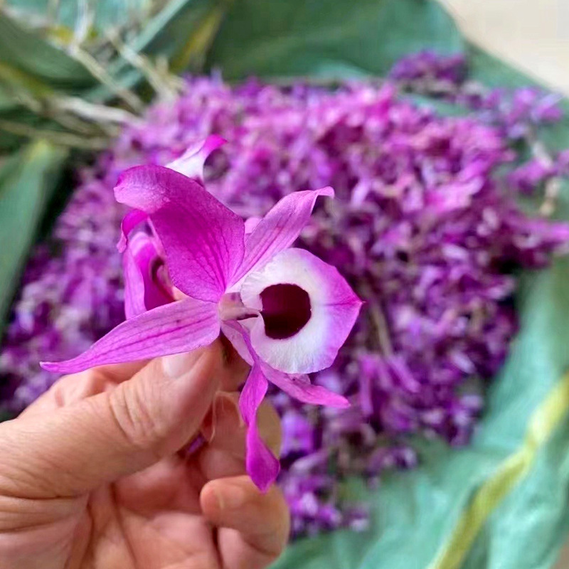 Purple Dendrobium Flower Zi Shi Hu Hua Dried Herbal Tea Flowers 10g Bottle Pack quality and texture