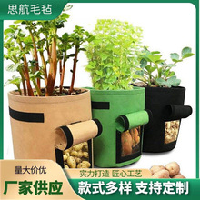 ë�ַNֲͰ ë�֟o�������T�Nֲ�� �������L�� �߲˻�����ֲ��