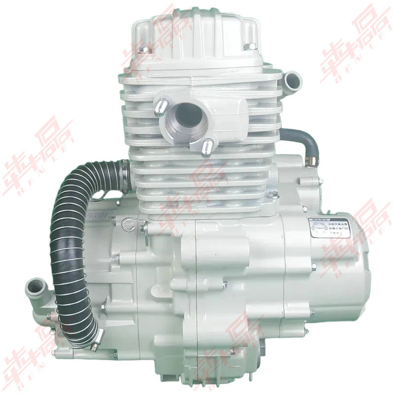 Jiangsu Zongshen Same Model Weifeng 200250300350 Dual Cooling Jiangsu Three-Wheel Motorcycle Heavy-Duty Engine Assembly