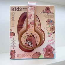 ���Q��Ƥ����Kapybara�o���{�����C�^����X�֙C�������w���CBT