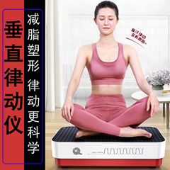 音波垂直律動機の振り子機の震え機の怠け者の振り子機のダイエットする器具の垂直律動機のダイエットするプラスチック