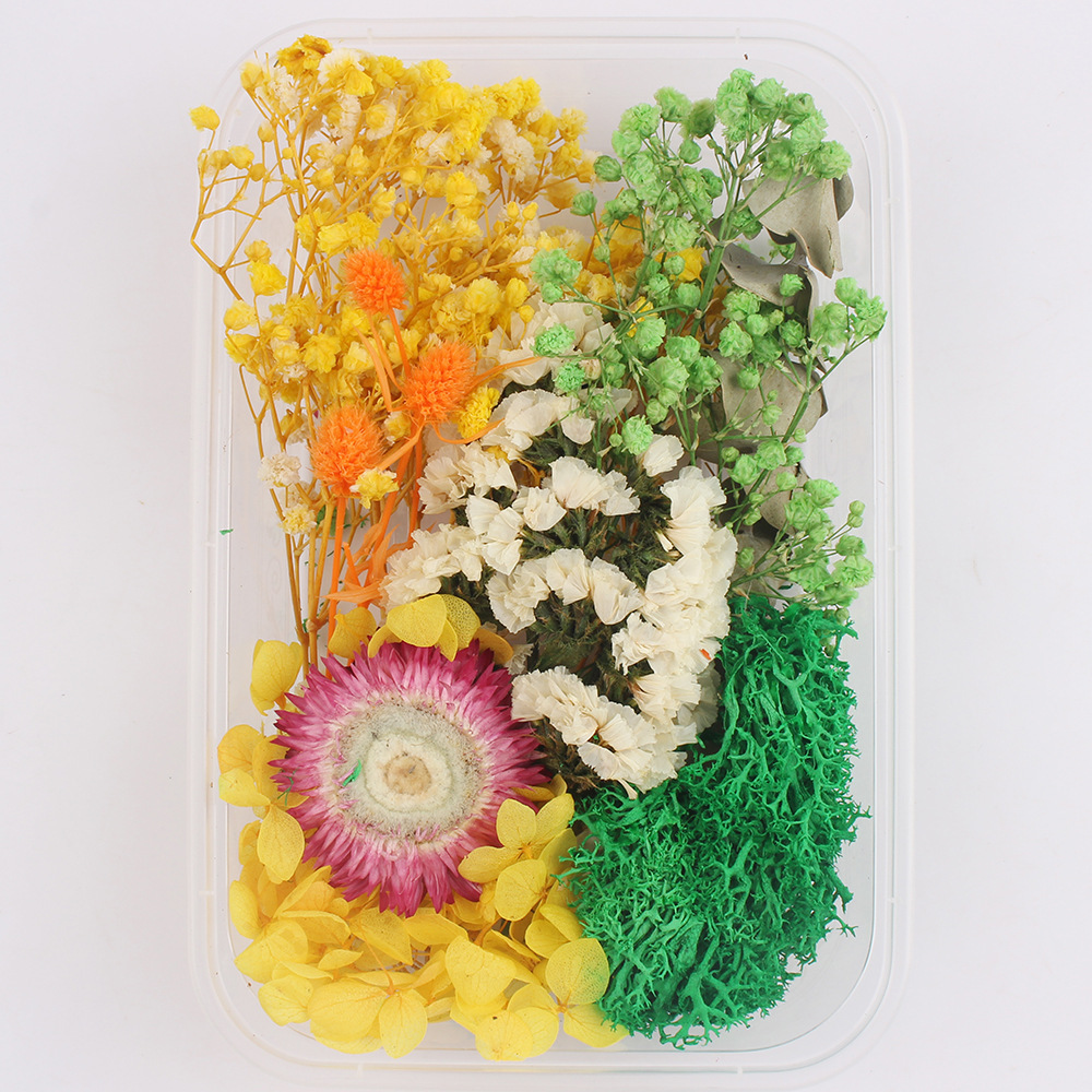 Flores secas preservadas hechas a mano, marco de fotos DIY, decoración mixta, materiales de aromaterapia, flores naturales, ramo de regalo para boda, San Valentín