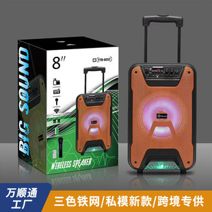 Travel suitcase, wireless speakers, microphone charging, 8 inch, bluetooth