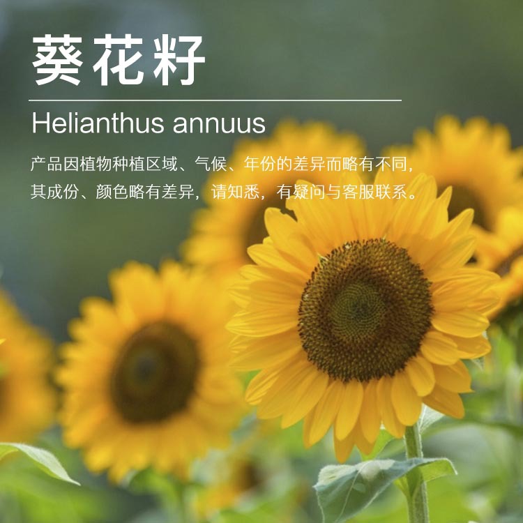 ���ҹ�Ӧ�������� ��ե������ ֲ����ԭ�������� ��ӭ�ɹ�