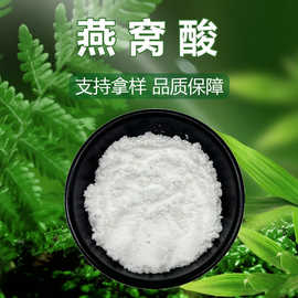 燕窝酸多种规格唾液酸原料批发N-乙酰基神经氨酸量大从优现货现发