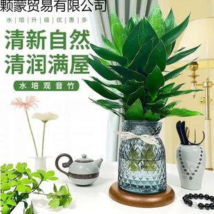 ^FˮGֲ҃kˮBԃ՚ļB