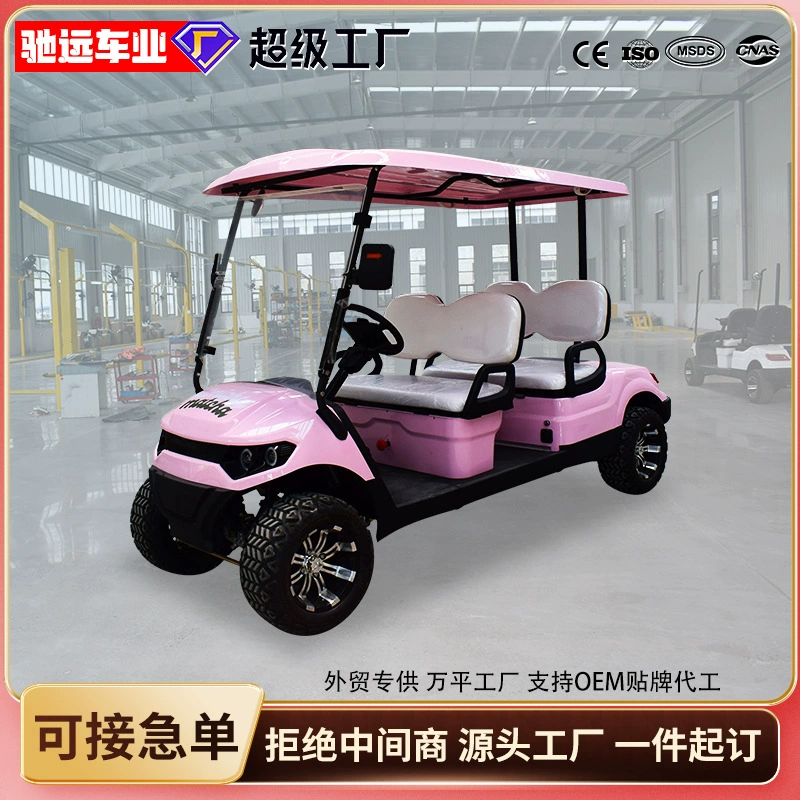 4-местный электрический экскурсионный автомобиль, для ресепшена отеля в живописной местности, для осмотра недвижимости, для патрулирования, гольф-кар