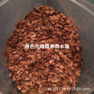 �㴻�N���㴻ѿ�㘶�^��t���䴻���㴻�������㴻���㴻ѿʳ��