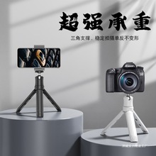 yֳ_֙CCz^ֱ֧ܔzӰa