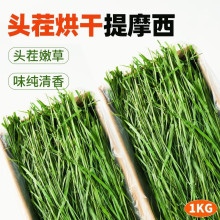 ��Ħ���ݸɲ� ���Ӻ��m�i������؈�Z�üZ���ͨ����ޣ���������l